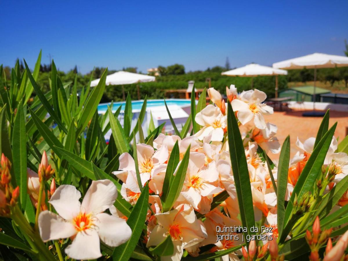 Quintinha Da Foz Guest House Sao Pedro  Eksteriør bilde