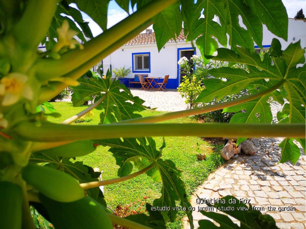 Quintinha Da Foz Guest House Sao Pedro  Eksteriør bilde